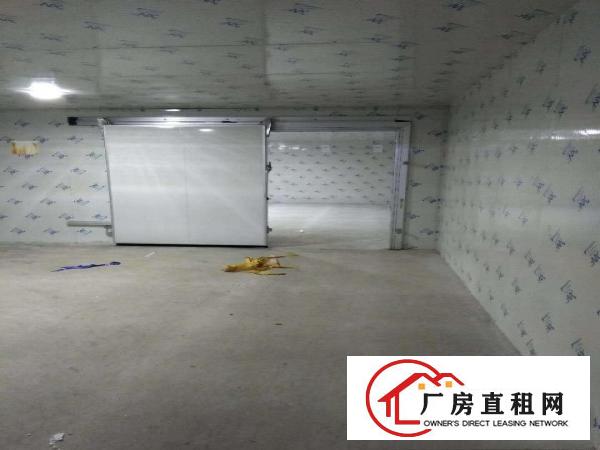 
		平湖白泥坑工业区1000平方带冷库，净菜设备厂房出租，转租
	