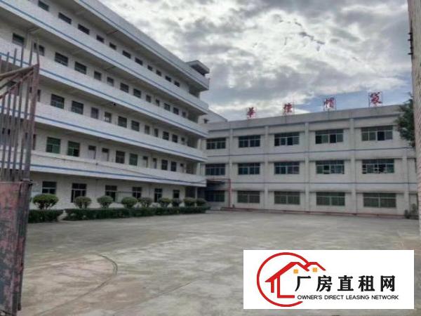 
		新出原房东花园式厂房一楼800平
	