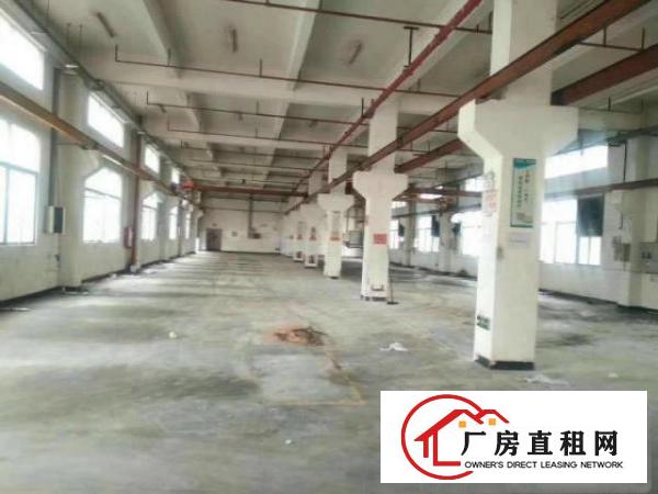 
		新出原房东花园式厂房一楼800平
	