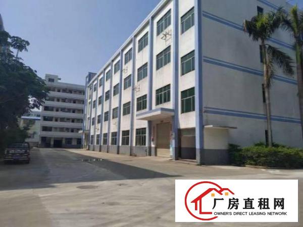 
		新出原房东花园式厂房一楼800平
	
