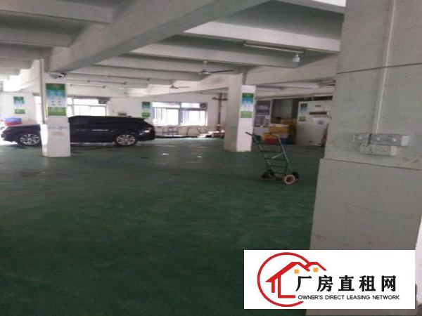 
		平湖白泥坑大门附近1000平方一楼精装修配送厂房出租
	