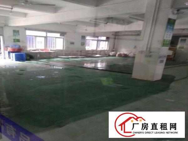 
		平湖白泥坑大门附近1000平方一楼精装修配送厂房出租
	