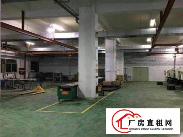 
		楼上标准厂房500原房东
	