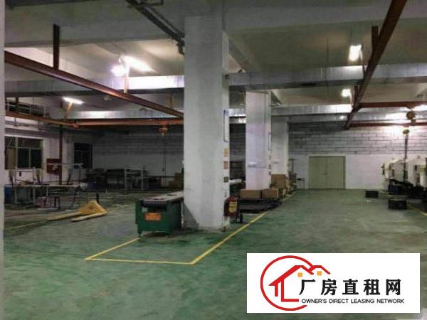 
		楼上标准厂房500原房东
	