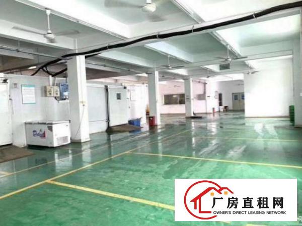 
		平湖观澜厂房出租1000平1800平一楼招
	