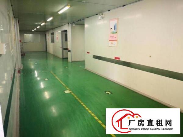 
		新生路边原房东楼上带装修1000平厂房出租分租
	