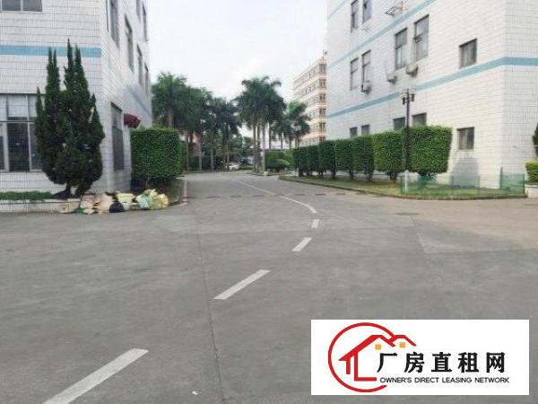 
		新生路边原房东楼上带装修1000平厂房出租分租
	
