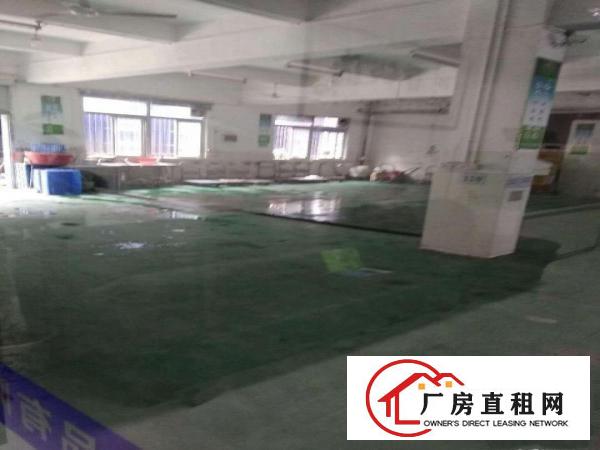 
		平湖白泥坑经典厂房，冷库出租信息汇460平方起租
	