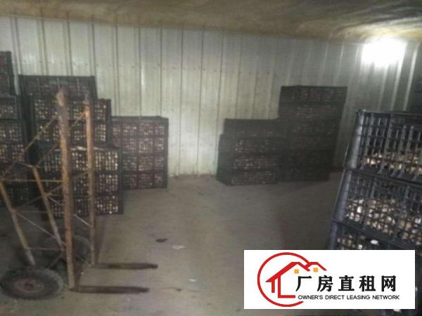 
		平湖白泥坑经典厂房，冷库出租信息汇460平方起租
	