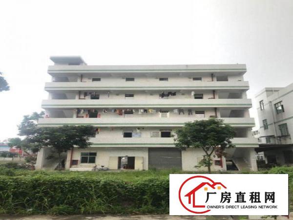 
		平湖新木路56号厂房1150平米
	