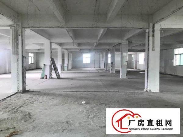 
		平湖新木路56号厂房1150平米
	