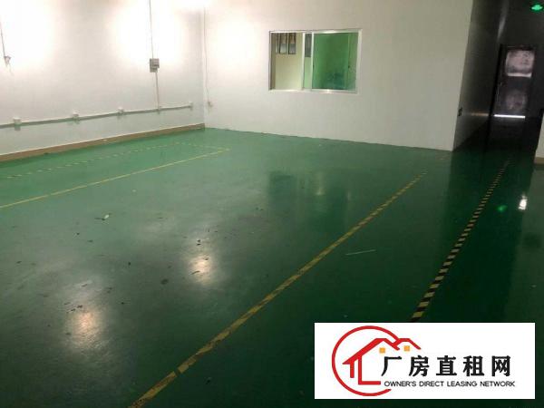 
		出租龙岗区平湖上李朗科技园
	