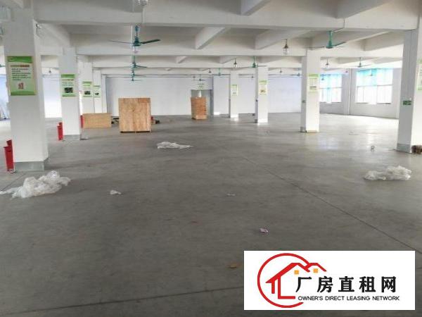 
		平湖标准1350方可分租，形象漂亮，一线大路边
	
