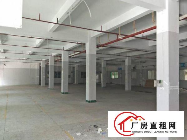 
		出租龙岗区平湖一楼厂房1000平方
	