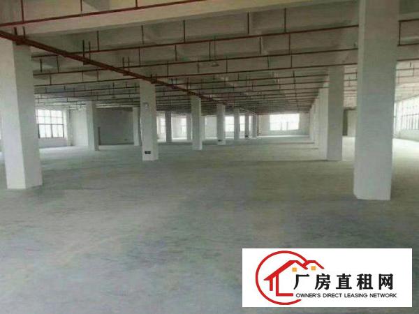 
		平湖转租1000平方二楼厂房可分可整
	