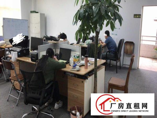 
		出租750平龙岗区平湖白泥坑农产品加工厂房（含办公室、冻库）
	