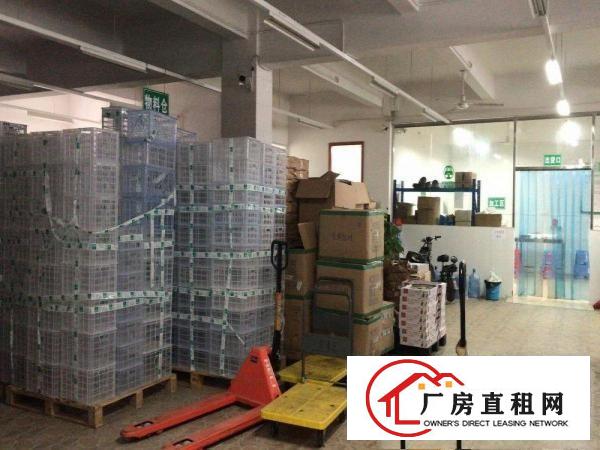 
		出租750平龙岗区平湖白泥坑农产品加工厂房（含办公室、冻库）
	
