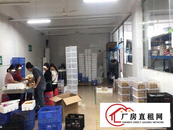 
		出租750平龙岗区平湖白泥坑农产品加工厂房（含办公室、冻库）
	