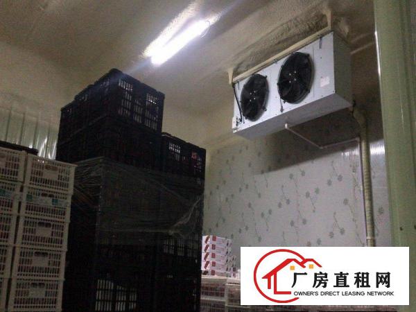 
		出租750平龙岗区平湖白泥坑农产品加工厂房（含办公室、冻库）
	