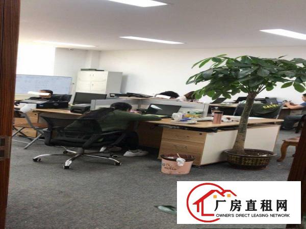 
		出租750平龙岗区平湖白泥坑农产品加工厂房（含办公室、冻库）
	