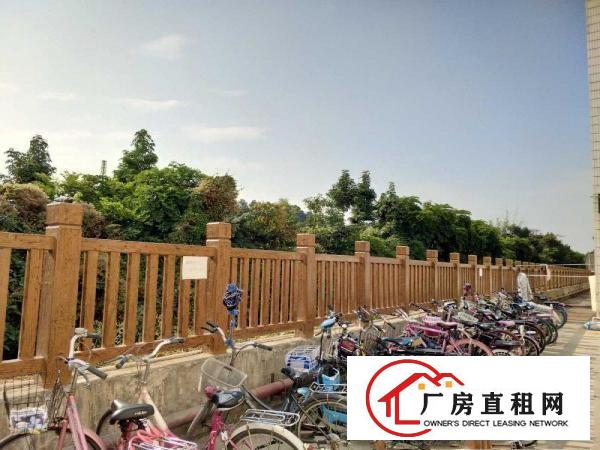 
		出租山厦路二楼620平带货梯，可做仓库、制衣、加工
	