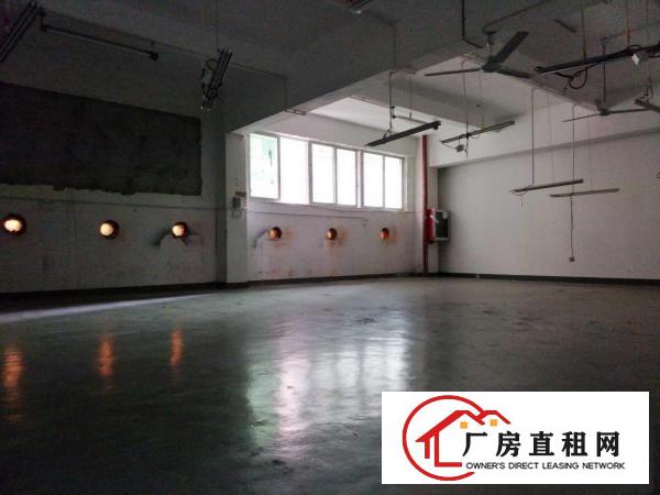 
		出租山厦路二楼620平带货梯，可做仓库、制衣、加工
	
