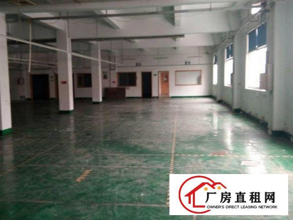 
		平湖1600平米带现成装修，水电的标准厂房出租可分租
	