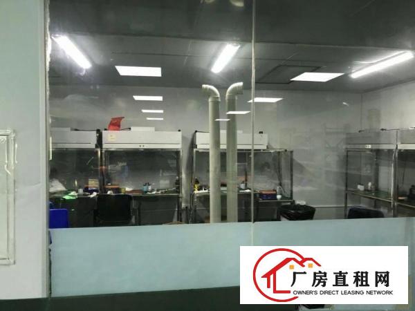 
		出租龙岗区平湖无公摊厂房
	