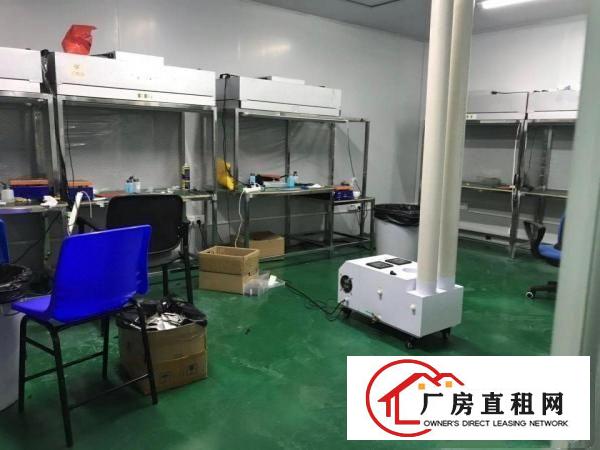 
		出租龙岗区平湖无公摊厂房
	