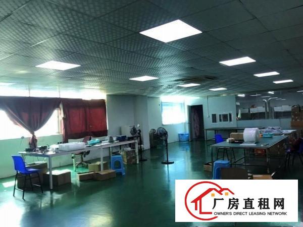 
		出租龙岗区平湖无公摊厂房
	