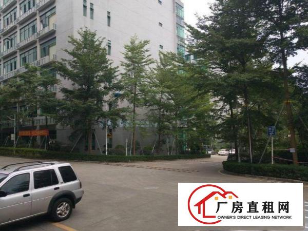 
		平湖一楼原房东1810平厂房可分租自带牛角
	