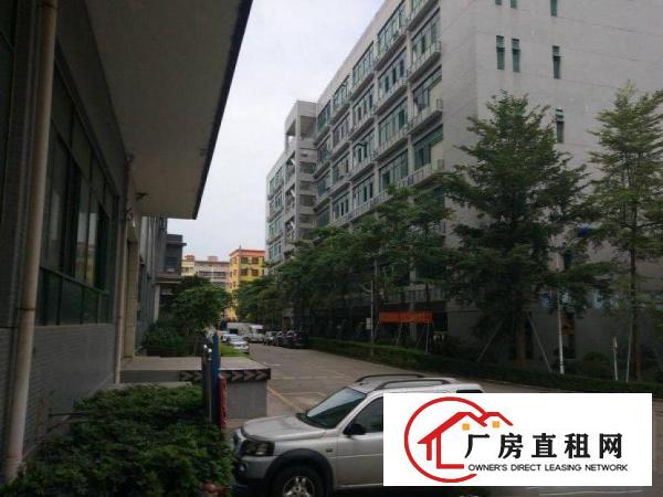 
		平湖一楼原房东1810平厂房可分租自带牛角
	