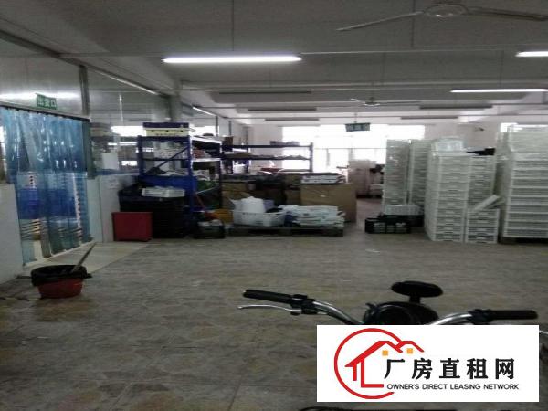 
		平湖白泥坑工业区750平1000平精装修配送厂房出租，带冷库
	