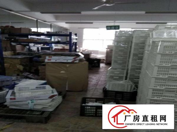 
		平湖白泥坑工业区750平1000平精装修配送厂房出租，带冷库
	