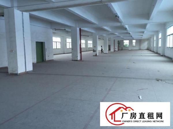 
		出租龙岗区平湖标准厂房一楼1500平
	