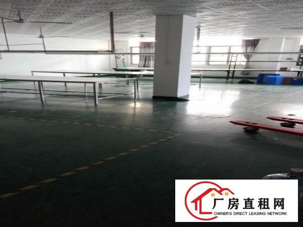 
		平湖新木楼顶铁皮顶厂房800出租，只8元，适合皮草，油边行业
	