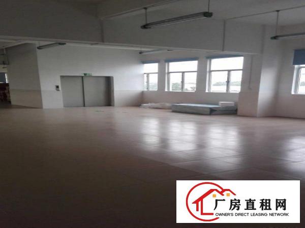 
		平湖新木楼顶铁皮顶厂房800出租，只8元，适合皮草，油边行业
	