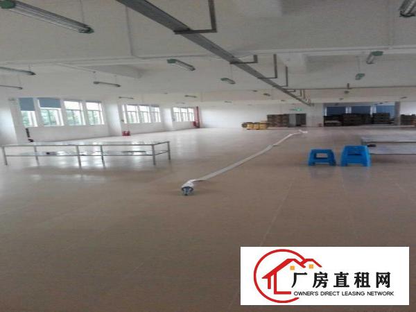 
		平湖新木楼顶铁皮顶厂房800出租，只8元，适合皮草，油边行业
	