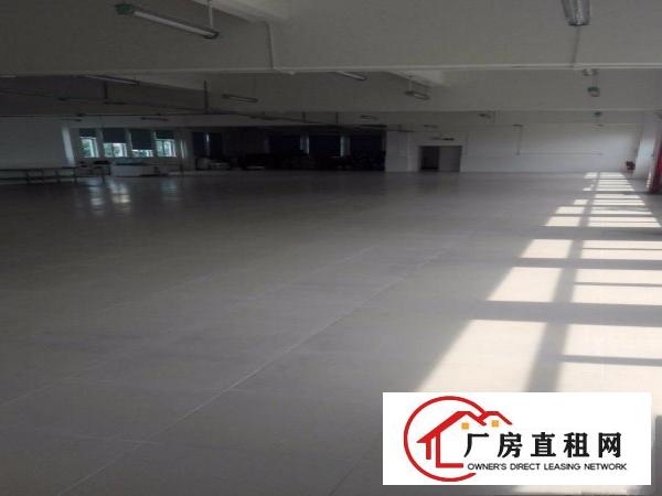 
		平湖新木楼顶铁皮顶厂房800出租，只8元，适合皮草，油边行业
	