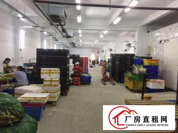 
		平湖白泥坑工业区新出750平1100平楼上配送厂房出租，精装
	