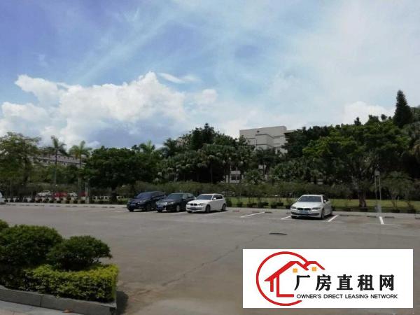 
		平湖社区华南城附近花园式厂房业主直租
	