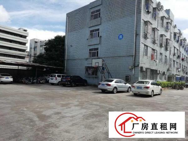 
		平湖社区华南城附近花园式厂房业主直租
	