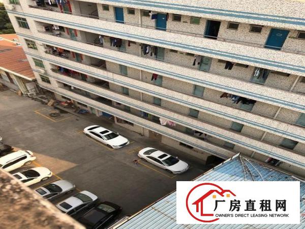 
		平湖清平高速金龙出口杉坑工业厂房800平米
	