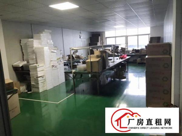 
		出租龙岗区平湖450平厂房
	