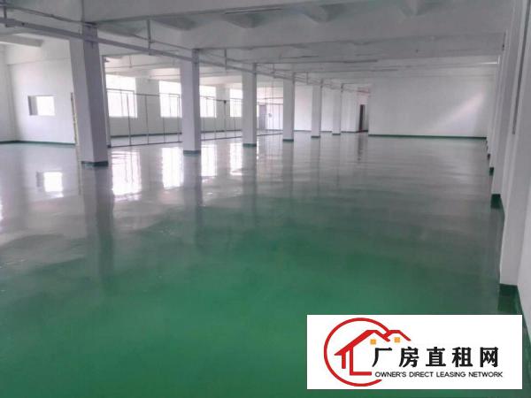 
		平湖罗山工业区新出经典小独院厂房2600平招租（可分租）
	
