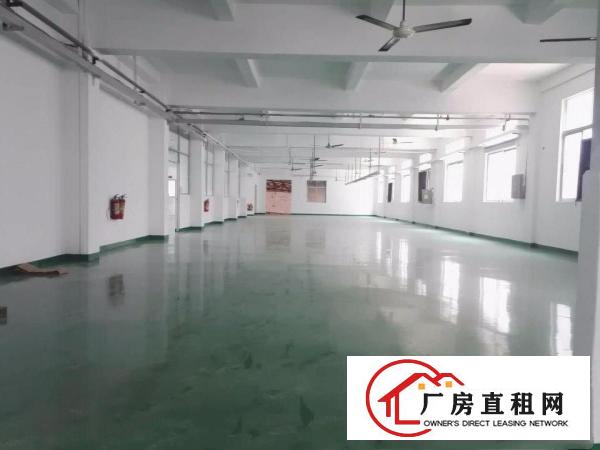 
		平湖罗山工业区新出经典小独院厂房2600平招租（可分租）
	
