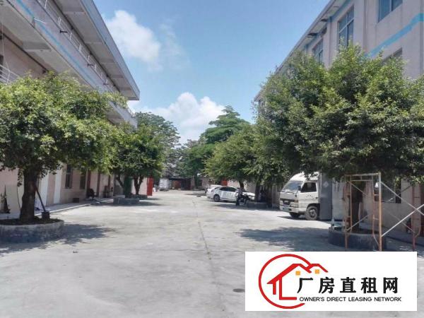 
		平湖罗山工业区新出经典小独院厂房2600平招租（可分租）
	