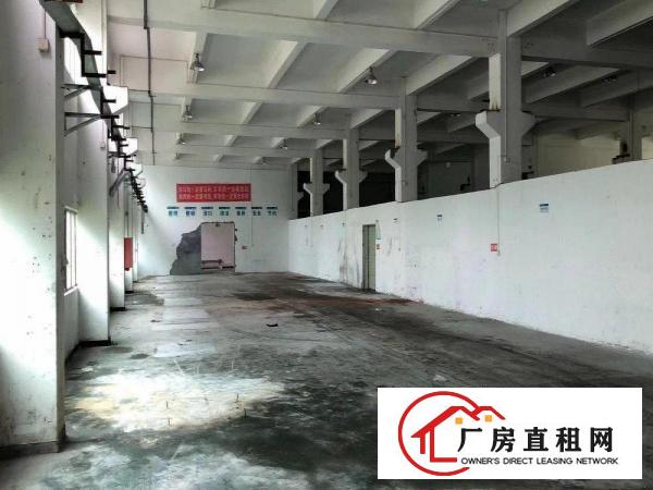 
		出租龙岗区平湖厂房带牛角位1580平
	