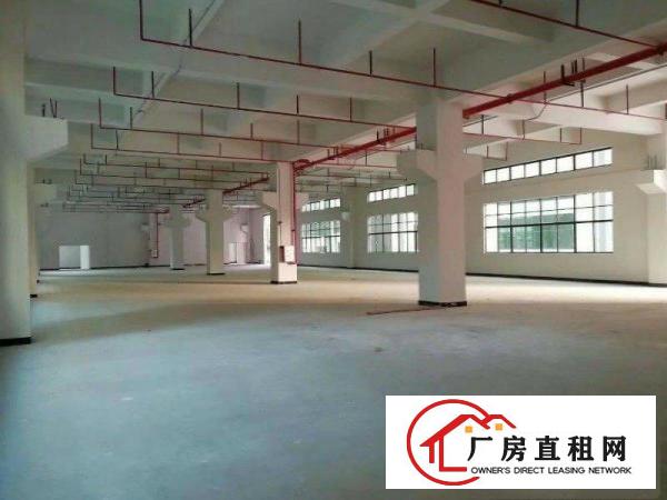 
		带消防喷淋！空地巨大！平湖富民工业区新出一楼100
	