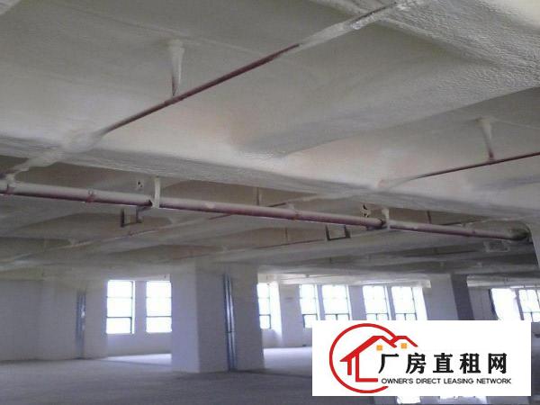 
		平湖白泥坑新出一楼，楼上小面积厂房，冷库出租，100平方起租
	